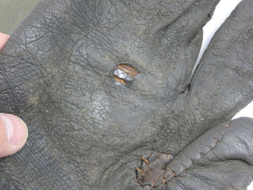 WW2 German Army Elite Motorbike Gloves
