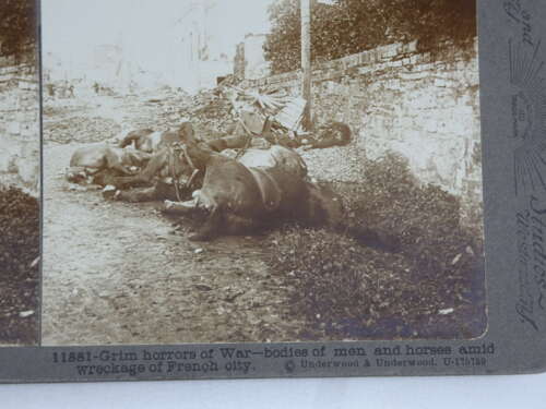 WW1 Stereograph Photo